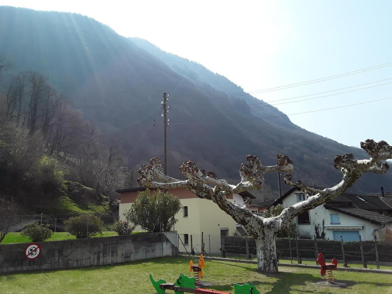 Holidays Homes Il Folletto Quartino Exterior foto